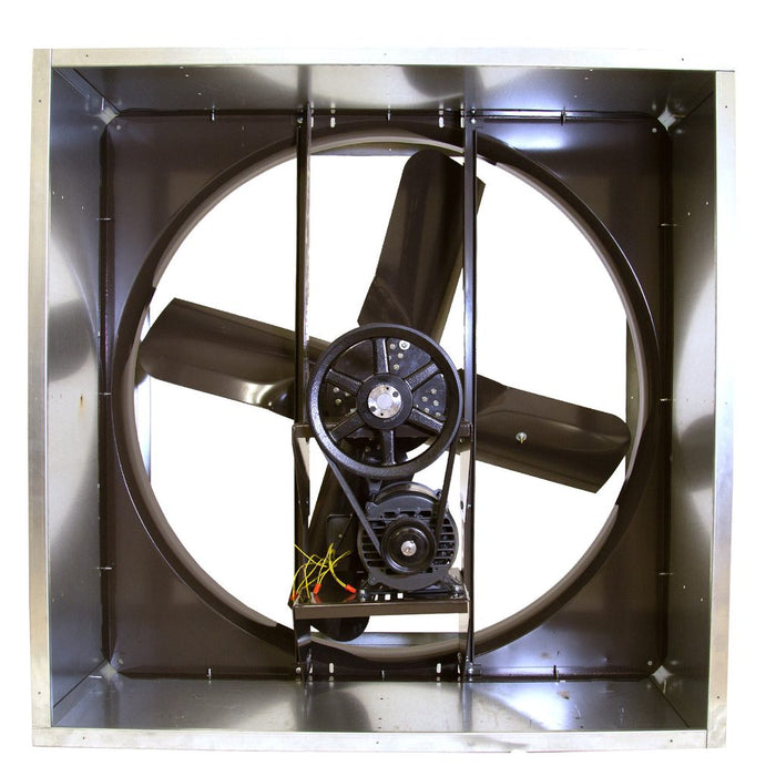 VI Cabinet Exhaust Fan 54 inch 37300 CFM 230 Volt Belt Drive VI5419-W